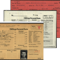 Conclusions: Death Toll