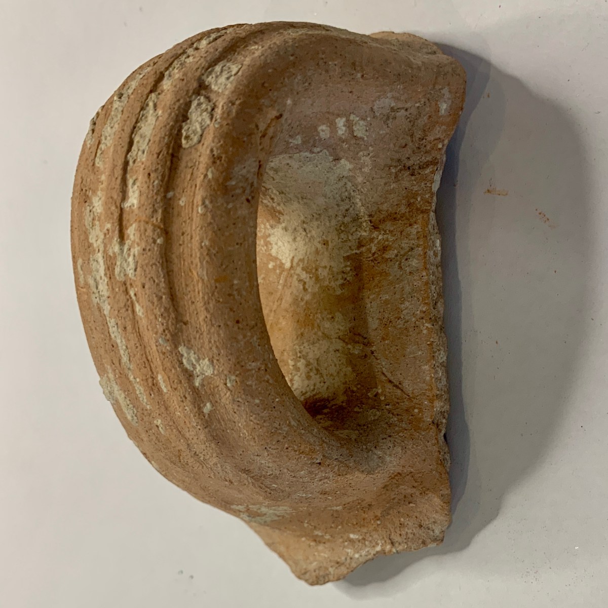 Archeology of the&nbsp;Future